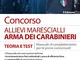 Concorso allievi marescialli arma dei carabinieri. Teoria e test. Manuale di completamento...