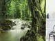 EdCott Foresta pluviale Tropicale Rocky River Fabrics Stampati Fantasia 3D Selangor Malesi...