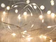 Lights4fun - Filo di 50 Micro LED Bianco Caldo a Pile su Cavo Metallico Argento