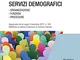 Manuale dei servizi demografici