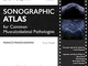 Sonographic atlas for common musculoskeletal pathologies