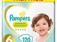Pampers Premium Protection Size 6, 120 Pannolini, Pampers 'Softest Comfort, consigliato da...