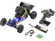 Reely Brushed 1:10 Automodello Elettrica Buggy Buzz 100% RtR 2,4 GHz incl. Batteria e cavo...