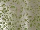 Silhouette Inizio Autunno Moss Pads, Multicolore, 42 x 15 cm