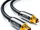 deleyCON 3m Cavo Audio Ottico Digitale S/PDIF 2x Toslink Spina LWL Cavo in Fibra Ottica Sp...