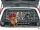 XtremeAuto® - Barriera divisoria a griglia da automobile per animali, griglia protettiva d...