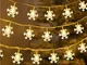 6 m 40 LED fiocco di neve stringa di luce, decorazione natalizia luci per interni ed ester...