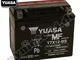 Batteria YUASA ytx12-BS, 12 V/10AH (dimensioni: 150 X 87 X 130)