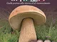 Funghi In Italia. Guida Pratica Alla Ricerca ed al Riconoscimento