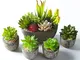 Jobary Set di 5 Piante Artificiali Succulente (Include 10 Piante), Colorate e Decorative F...
