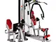 BH Fitness TT Pro G156, Stazione multifunzione di allenamento, Unisex-Adulto, Argento/Nero...