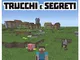 Minecraft trucchi e segreti. Independent and unofficial guide