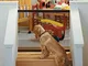 Magic Pet Gate for Dogs 48 x 31,5 Pollici Portable Folding Isolation Mesh Cancello di Sicu...