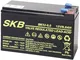 SKB BATTERIA PIOMBO RICARICABILE 12V 9A 151 X 65 X 95 MM UPS SICUREZZA ALLARME ALTA RESA