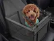 IvyLife Seggiolino Auto per Cane Coprisedile per Cane Animale Borsa Anteriore Singolo Cope...