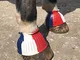 White Horse Equestrian Flex Overreach Stivali – Protezione per Equitazione all'aperto, Ros...