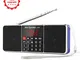 PRUNUS™ J-288 Portatili Radio AM(MW)/FM con L'altoparlante e Funzione Bluetooth, Lettore M...