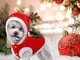 Vestiti di Natale per cane, JIMACRO Pet Suit Santa Simpatico costume da cane renna Costume...