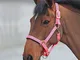 Shires, capezza della linea Topaz, in nylon (387), Pink, Full
