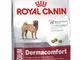 royal canin Medium Dermacomfort Secco Cane kg. 10-Secchi Dietetici per Cani, Multicolore,...