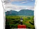 Danita Delimont - Farms - Limestone hill, farming land in Vinales valley, Cuba - CA11 KSU0...