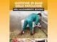 Gestione di base delle patologie nell'allevamento bovino