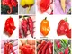 120 Semi Peperoncino in 12 Varietà delle Più Piccanti del Mondo, Collezione SUPER HOT + Gu...