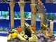 Mezzaluna Gifts - Decorazione per acquario in rovina con colonne romane, 21 cm