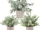 Der Rose - Confezione da 3 mini piante di eucalipto artificiali in plastica per casa, uffi...
