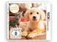 Nintendogs + Cats: Golden Retriever & Neue Freunde - Nintendo 3DS - [Edizione: Germania]
