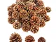 Lifreer - Set di 30 pigne essiccate naturali per albero di Natale, decorazione da appender...