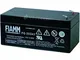 FIAMM FG20341 - Batteria al piombo AGM, 12 V, 3,4 Ah, in tessuto non tessuto, USV FG 20341...