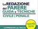 Scritti esame avvocato. La redazione del parere guida e tecniche civile e penale. Esame av...