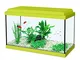 Acquario Nanolife Kidz 8 verde Zolux