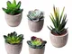 HB life 5 Pezzi Succulente Artificiali Pianta Artificiale Vaso Piante Finte vasi Piante Fi...