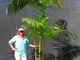 Pinkdose La vendita calda 10pcs piante Palma Garden Ornament Perenial Trachycarpus Fortune...