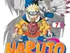 Naruto (Vol. 7)