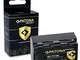 PATONA Protect V1 Batteria NP-FZ100 compatibile con Sony Alpha 6600, A9, A9 II, A7R III, A...
