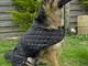 Rhinegold Balmoral - Cappottino per cani, taglia XL, 60 cm, nero