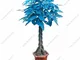 Blu Pachira Seed Money Tree balcone & Courtyard Bonsai Piante Diy giardino domestiche dell...