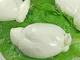 Mozzarella di latte di bufala 25 pz 250 gr (L35)