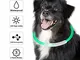 Yizhet Collare Luminoso per Cani, Collare LED per Cani Collare di Sicurezza per Animali Do...