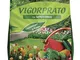 VIGORPRATO UNIVERSALE, concime per prati per tutto l'anno, kg 5, Vitaverde