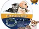 QcoQce Collare Antipulci per Cane e Gatto, 60cm Collare Antiparassitario Antizecche Regola...