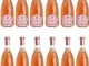 Vino Rosato - Rosa dei Frati Riviera del Garda classico Doc - Az.Agr. Cà dei Frati 12 bott...