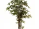 Europalms 82509247 Bamboo Tronco Nero, 240 cm, Taglia Unica