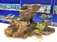 Mezzaluna Gifts - Decorazione per acquario con piante bonsai e nascondiglio