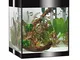 Askoll Aa350047 Pure Acquarium Kit LED, M, Nero