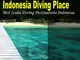 Indonesia Diving Place: Best Scuba Diving Destinations Indonesia, Komodo, Raja Ampat, Bali...