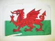 AZ FLAG Bandiera Galles 45x30cm - BANDIERINA Gallese 30 x 45 cm cordicelle